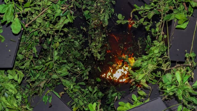 Primeira FEIMATE: Feira da Erva-Mate e Processo Produtivo da Erva-Mate - Historiando em Novo Barreiro