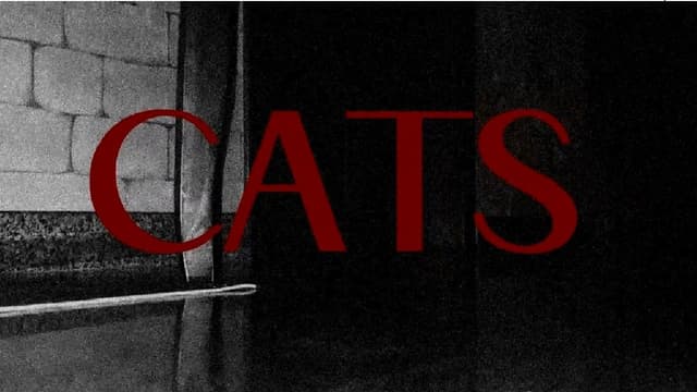 CATS